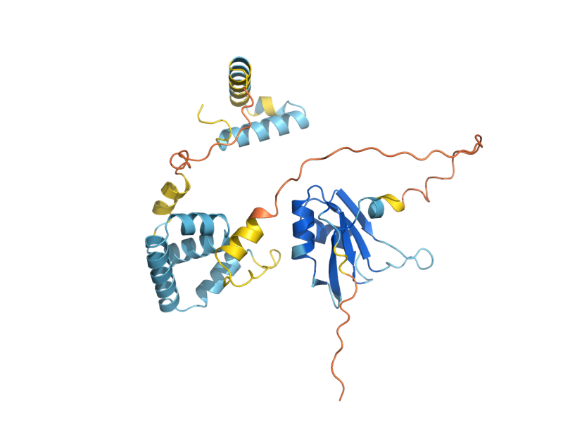 AlphaFold predicted structure of RNA15