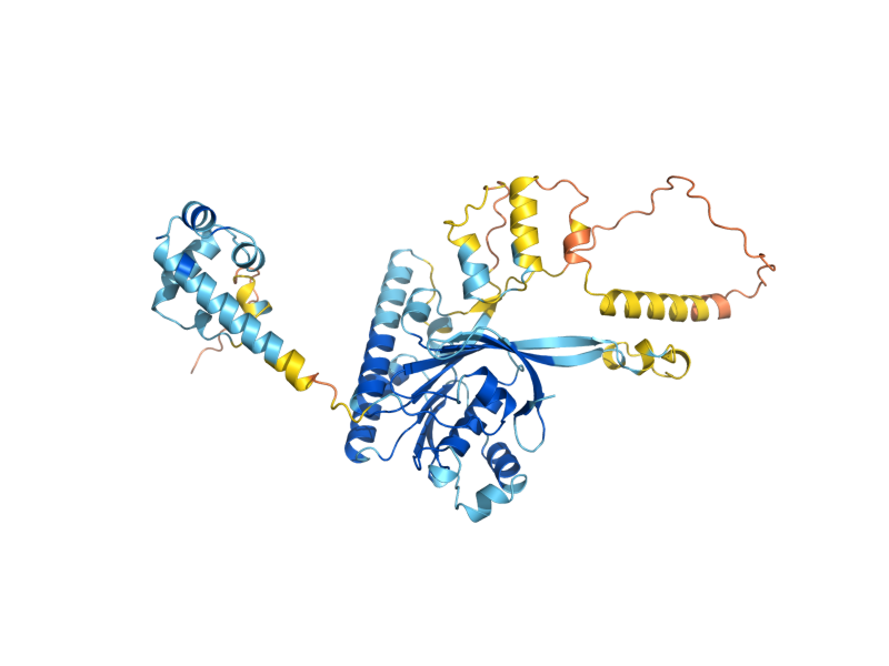 AlphaFold predicted structure of RAD57
