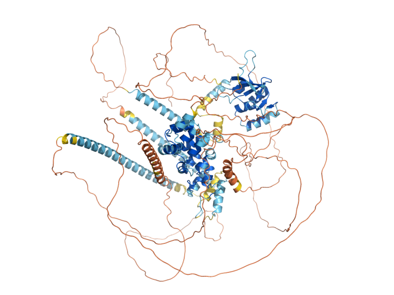 AlphaFold predicted structure of SWI4