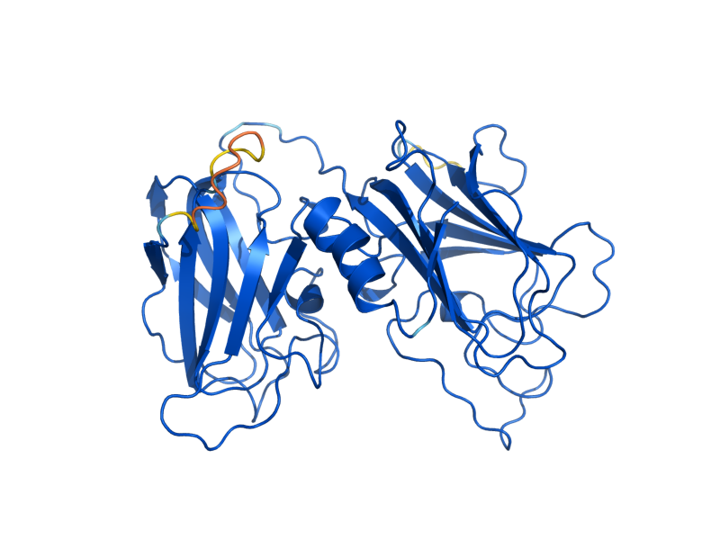 AlphaFold predicted structure of DAL2