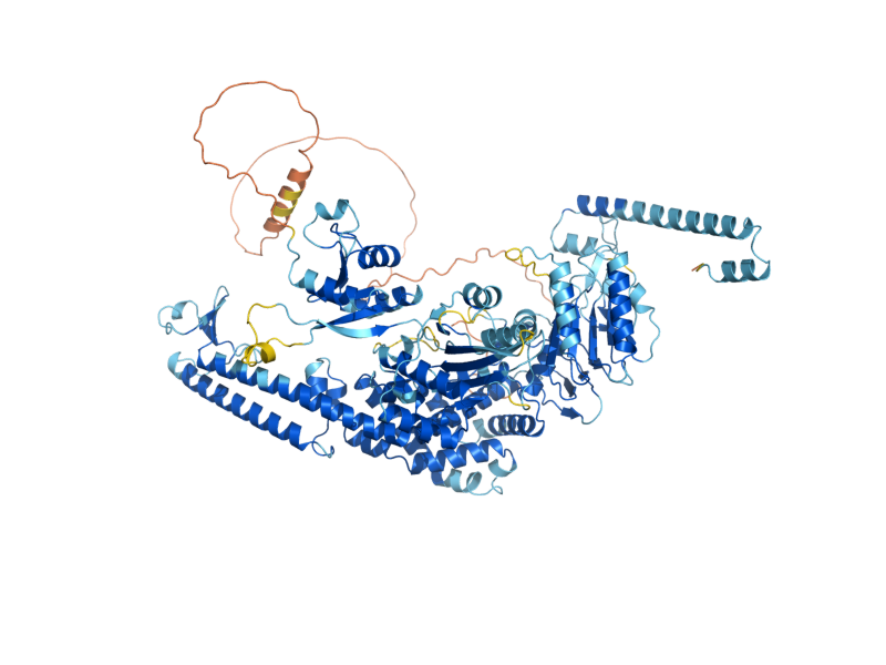 AlphaFold predicted structure of MSH3