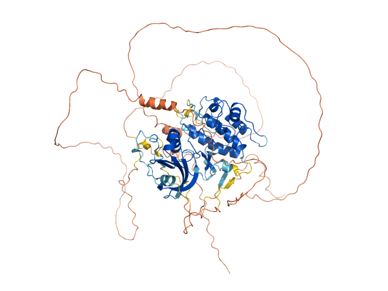 AlphaFold predicted structure of KIN82