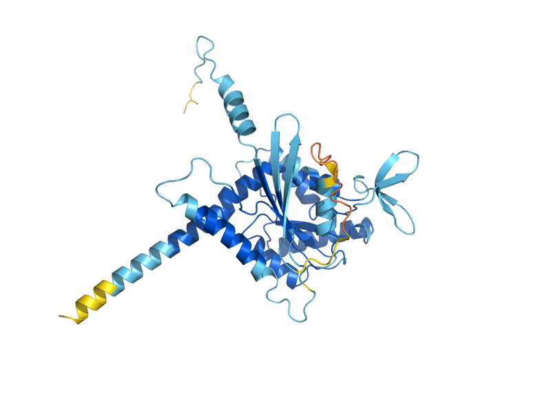 AlphaFold predicted structure of CDC10
