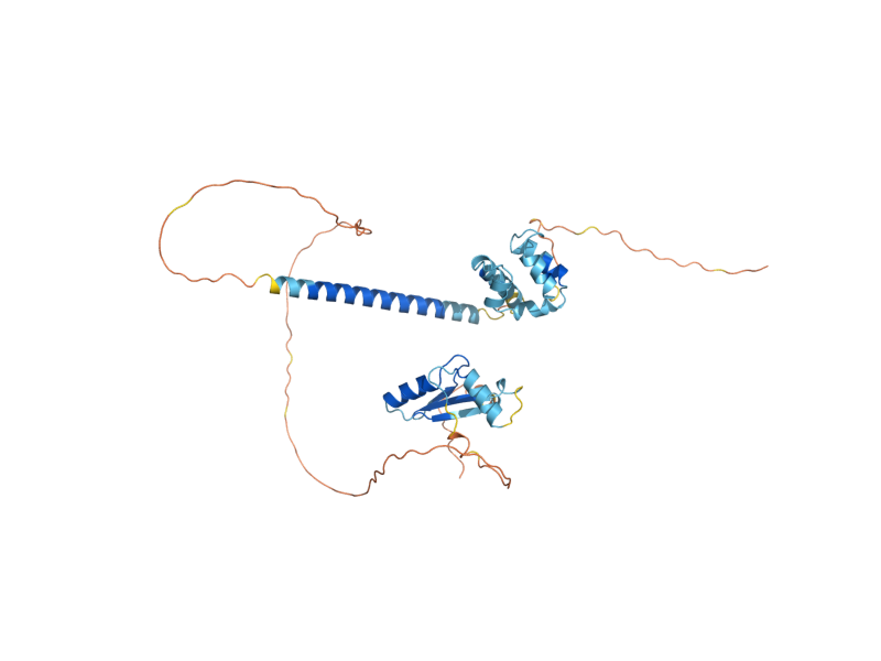 AlphaFold predicted structure of STE50