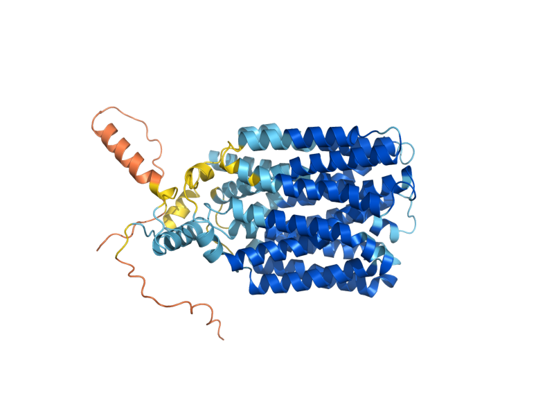 AlphaFold predicted structure of GIT1
