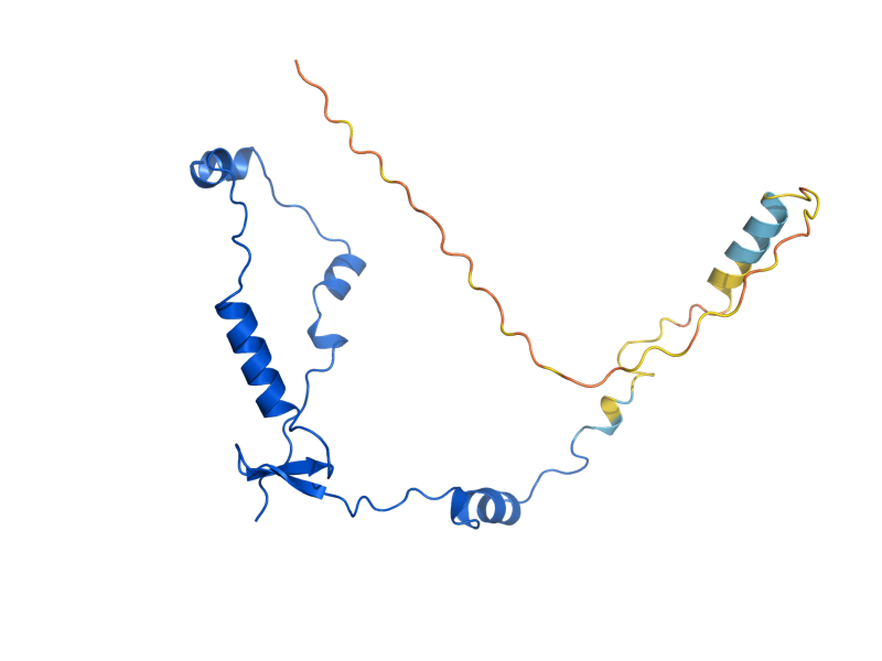 AlphaFold predicted structure of MRPL32