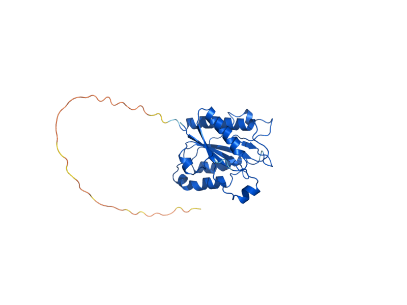 AlphaFold predicted structure of YCP4