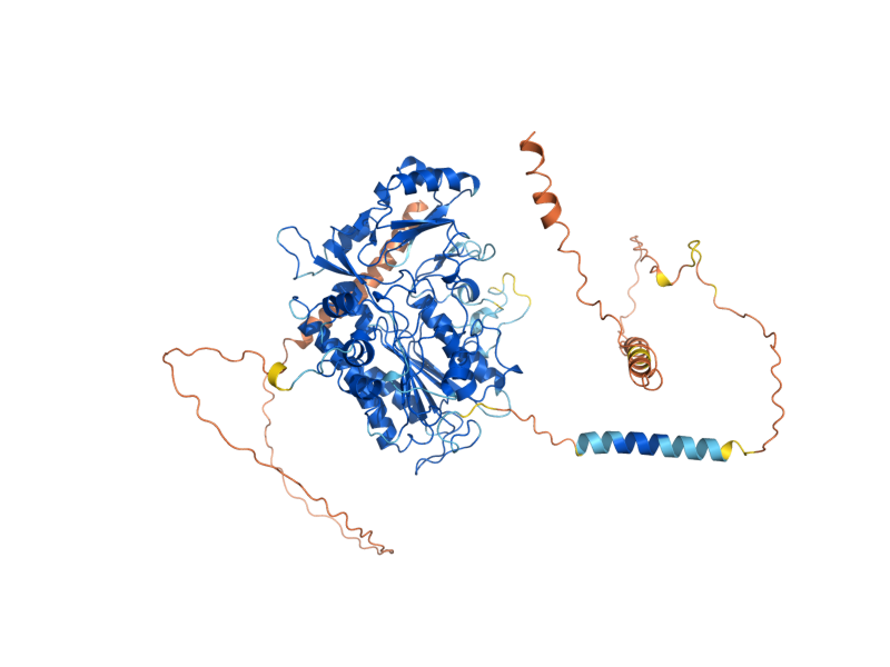 AlphaFold predicted structure of NPP1
