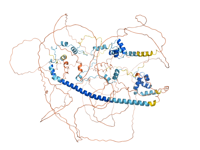 AlphaFold predicted structure of SNT1