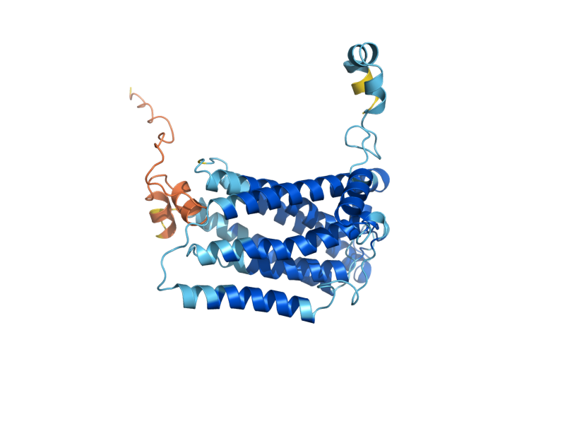 AlphaFold predicted structure of ELO2
