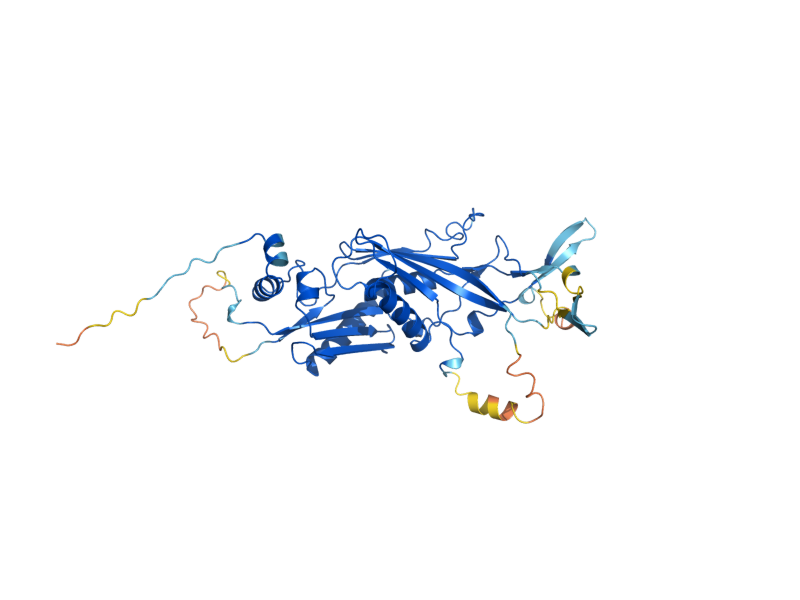 AlphaFold predicted structure of RRP43