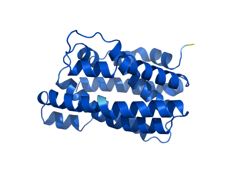 AlphaFold predicted structure of PET18