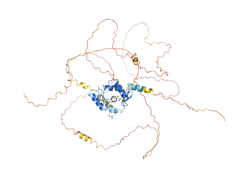 AlphaFold predicted structure of HCM1