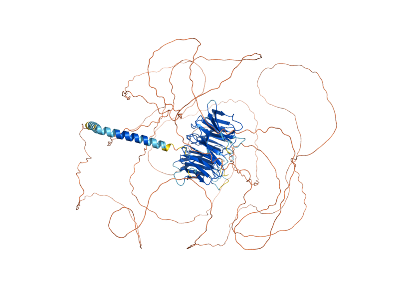 AlphaFold predicted structure of SED4