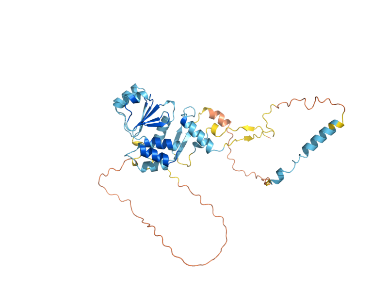AlphaFold predicted structure of OCA4