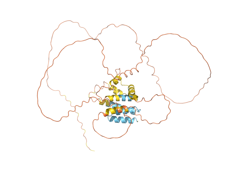 AlphaFold predicted structure of RNQ1