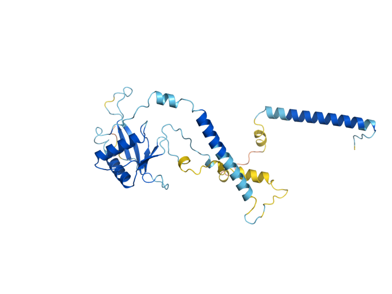 AlphaFold predicted structure of RRP7