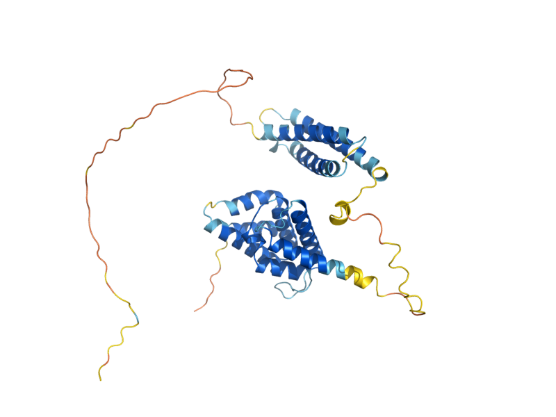 AlphaFold predicted structure of LSB5