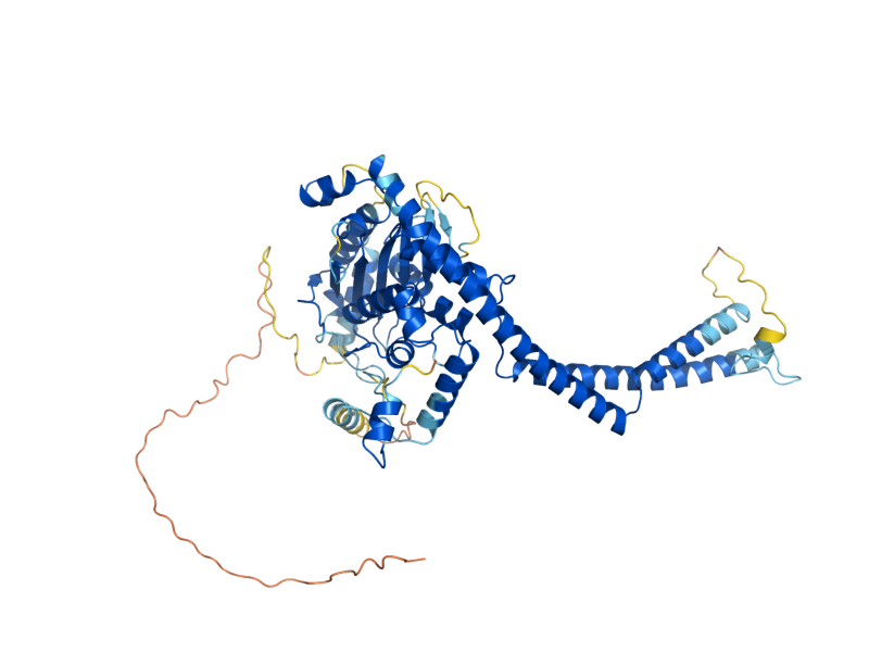 AlphaFold predicted structure of GFD2