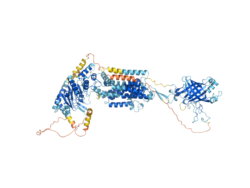 AlphaFold predicted structure of ADP1