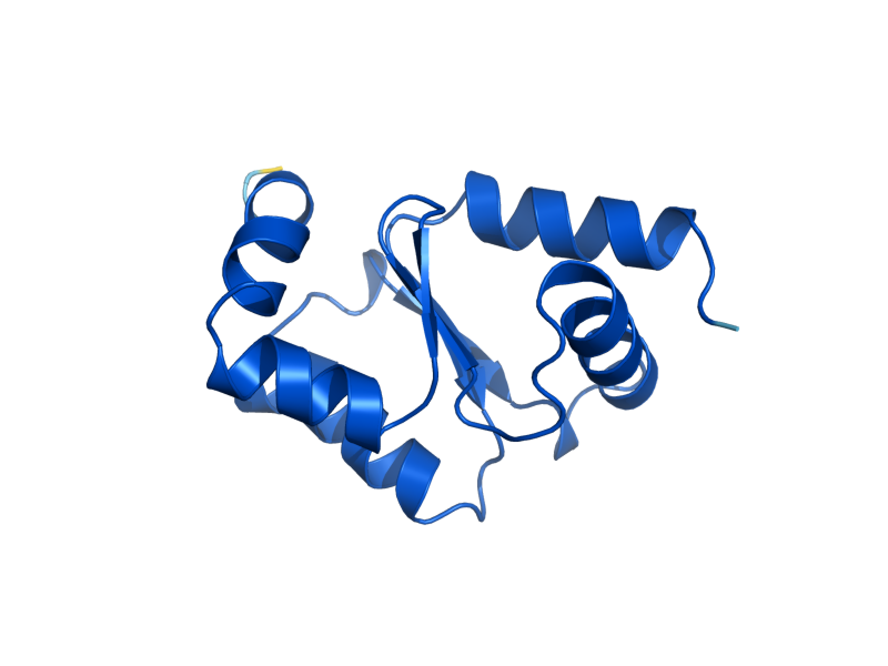 AlphaFold predicted structure of GRX1
