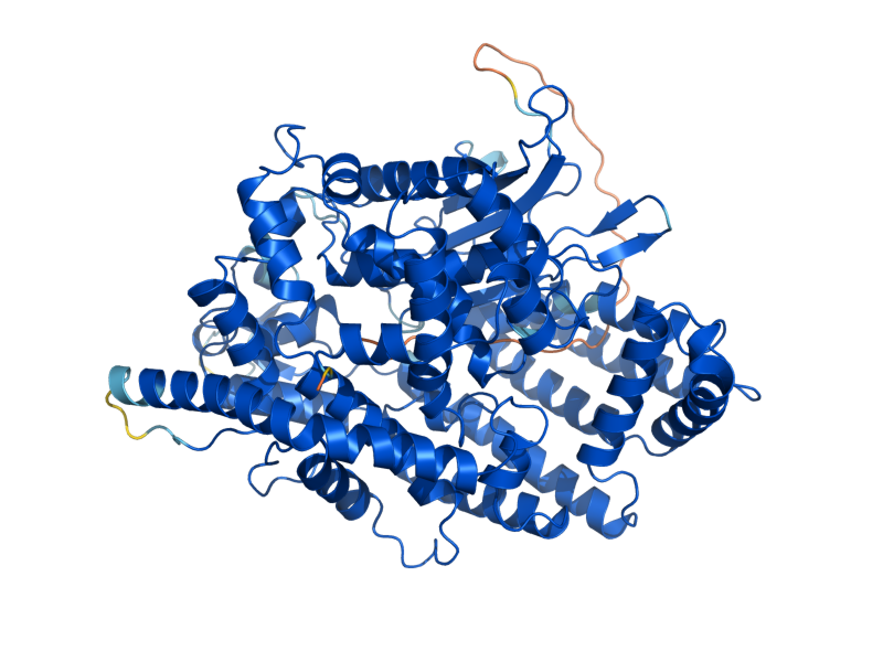 AlphaFold predicted structure of PRD1