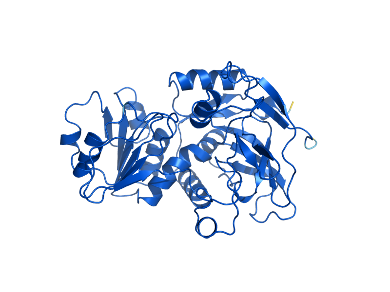 AlphaFold predicted structure of ADH7