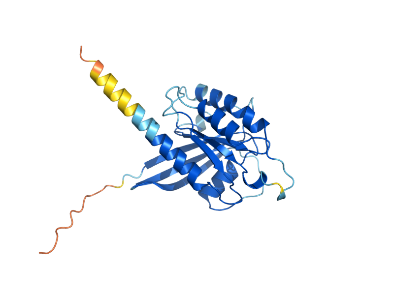 AlphaFold predicted structure of RHB1