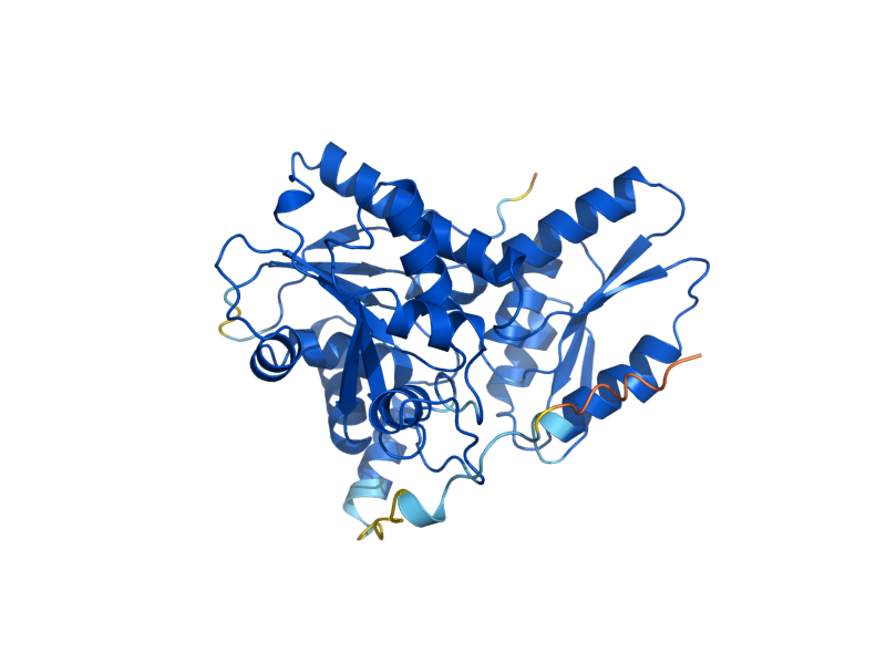 AlphaFold predicted structure of CHA1