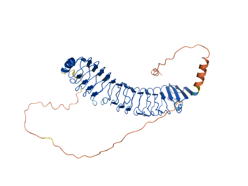 AlphaFold predicted structure of SPS22