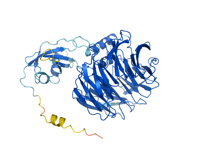 AlphaFold predicted structure of RSA4