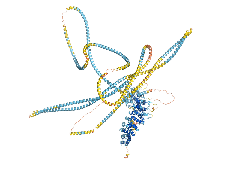 AlphaFold predicted structure of USO1