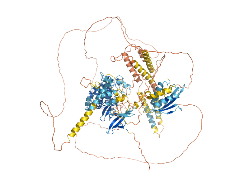 AlphaFold predicted structure of KCC4