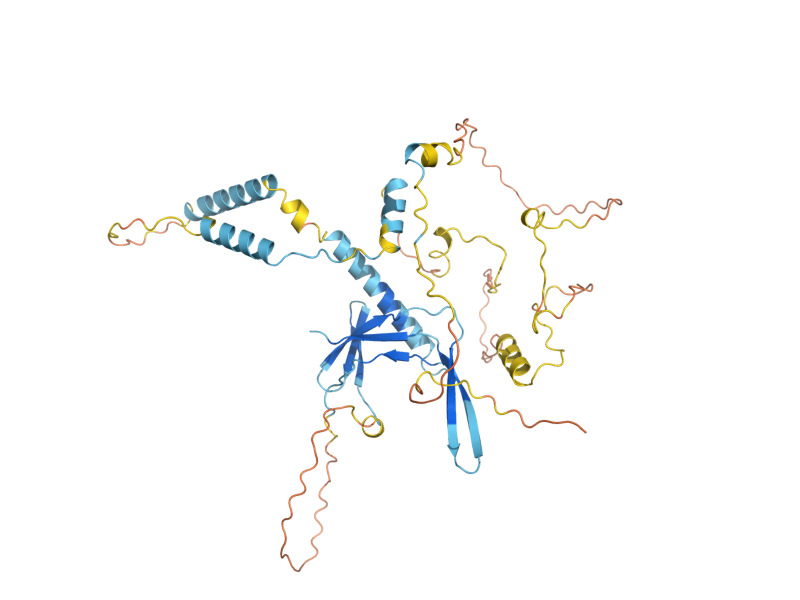 AlphaFold predicted structure of RPC53