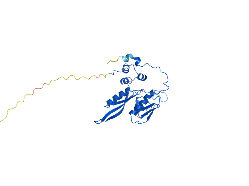 AlphaFold predicted structure of RPS2