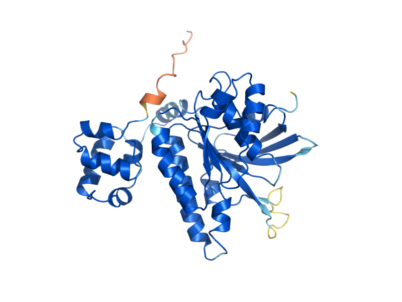 AlphaFold predicted structure of DMC1