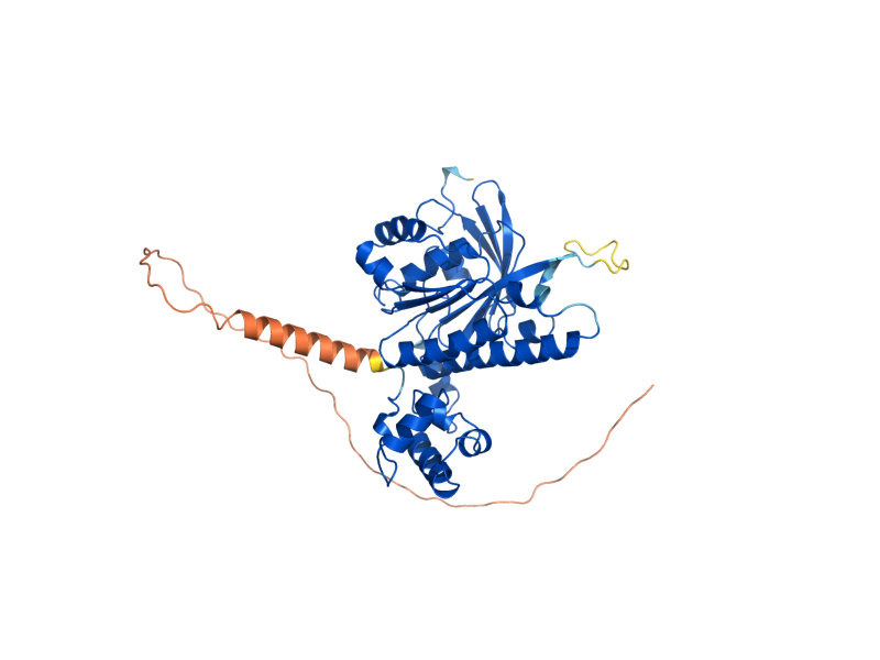 AlphaFold predicted structure of RAD51