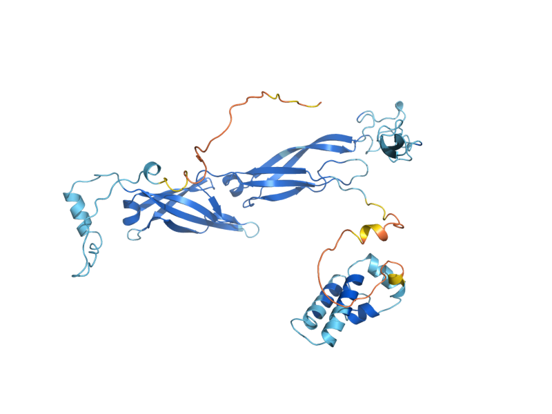 AlphaFold predicted structure of YDJ1