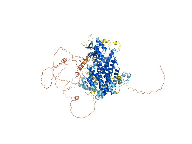 AlphaFold predicted structure of PUT3