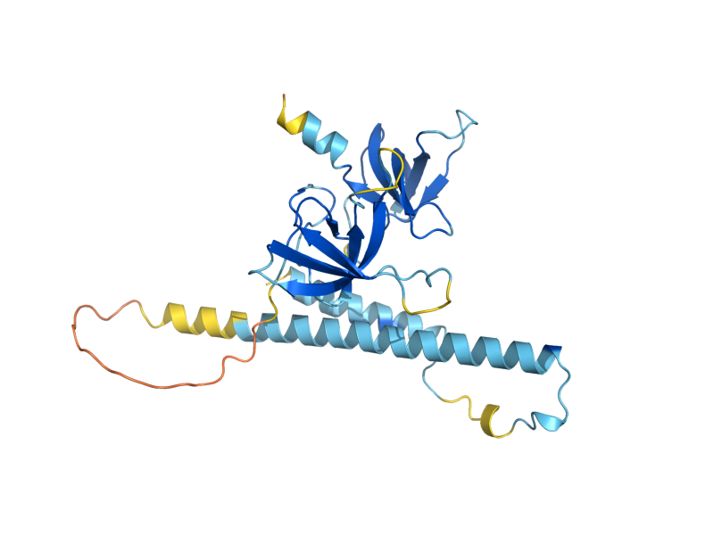 AlphaFold predicted structure of SGF29