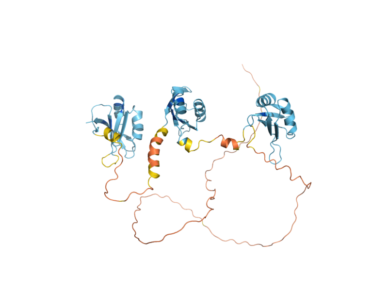 AlphaFold predicted structure of GBP2