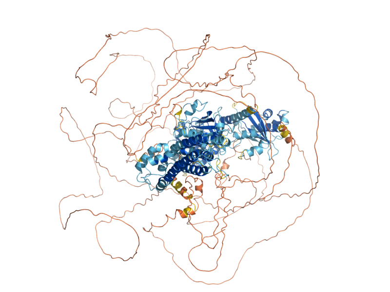 AlphaFold predicted structure of BUD3