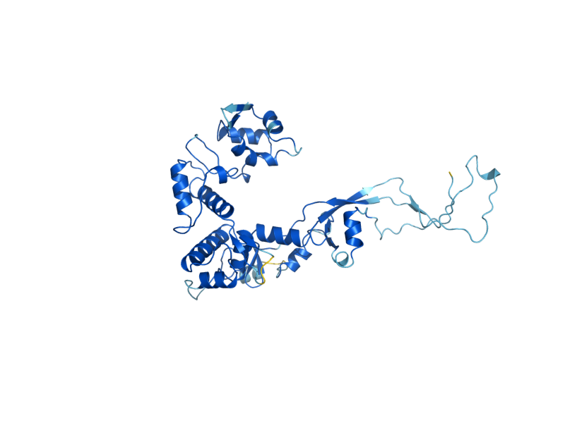 AlphaFold predicted structure of DCC1