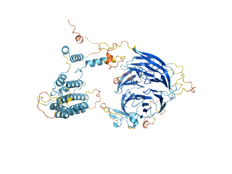 AlphaFold predicted structure of GID7
