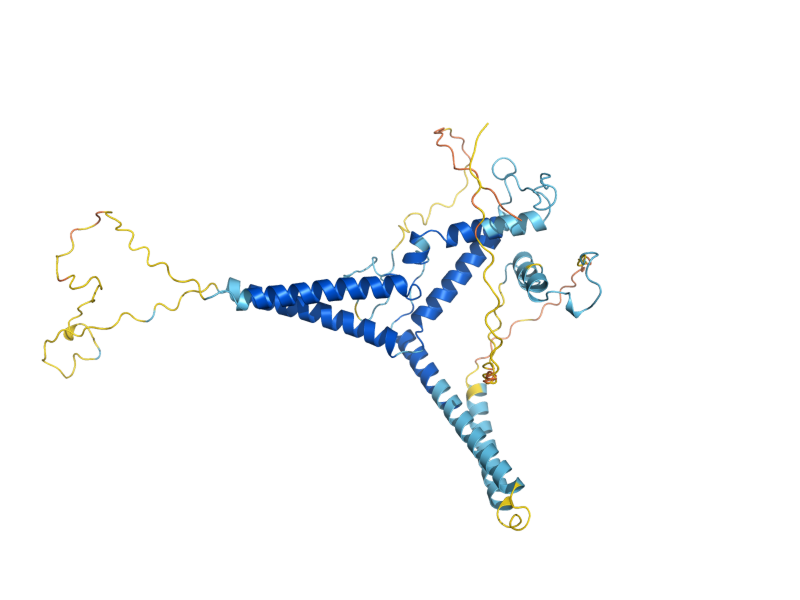 AlphaFold predicted structure of MGR1
