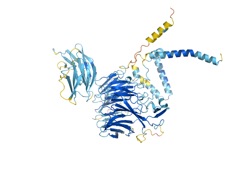 AlphaFold predicted structure of EMC1