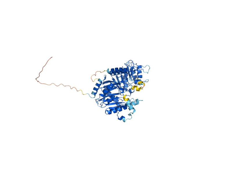 AlphaFold predicted structure of PGS1