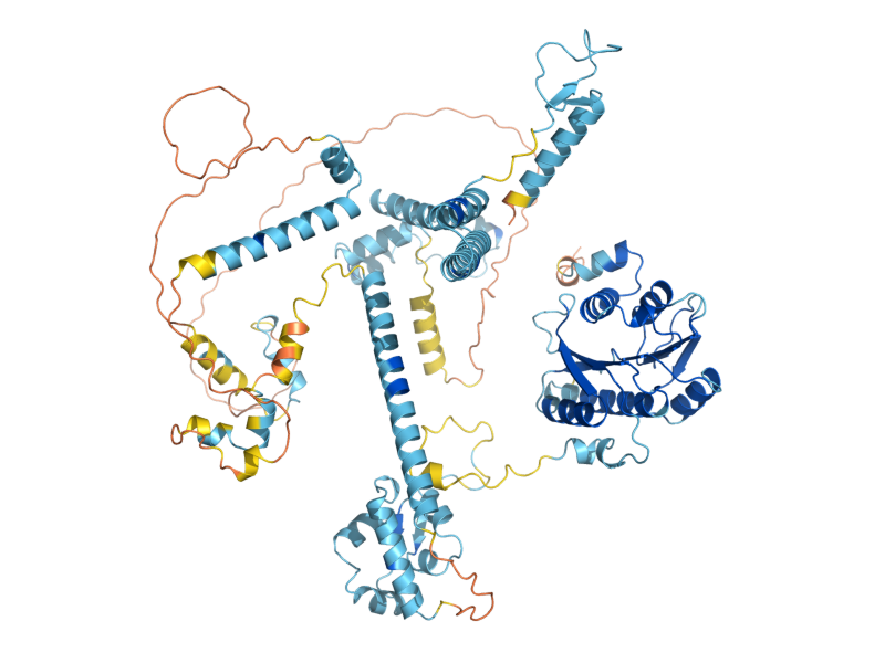 AlphaFold predicted structure of SPB1