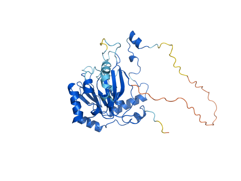 AlphaFold predicted structure of KAR4
