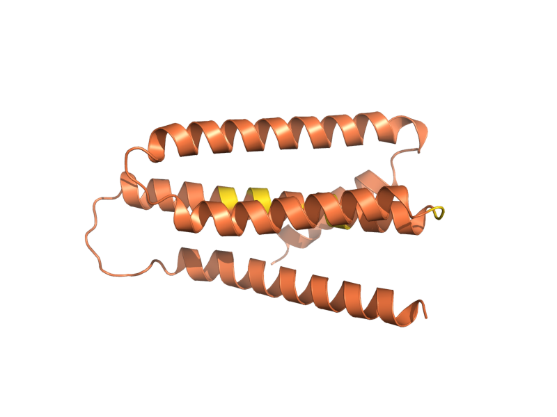 AlphaFold predicted structure of FYV5